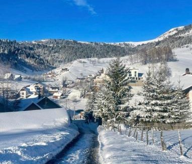 Vitomiricë Ski Chalet | Villat Ylli