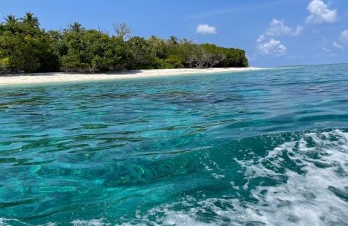 Hanimaadhoo Hotel | Viluveli Holiday Retreat