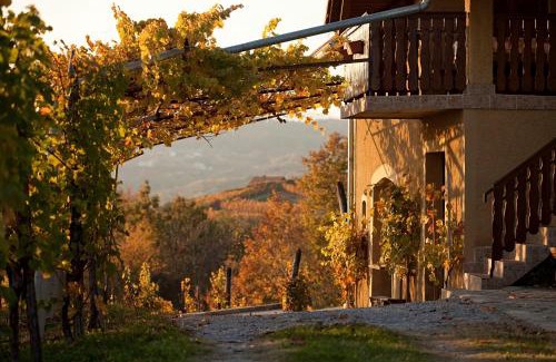Drasici House | Vineyard Cottage Brodaric