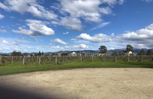 Renwick Cabin | Vineyard Cottage in Blenheim on the Golden Mile