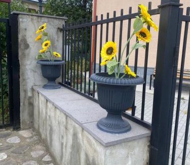 Telavi Apartment | Vino Vista