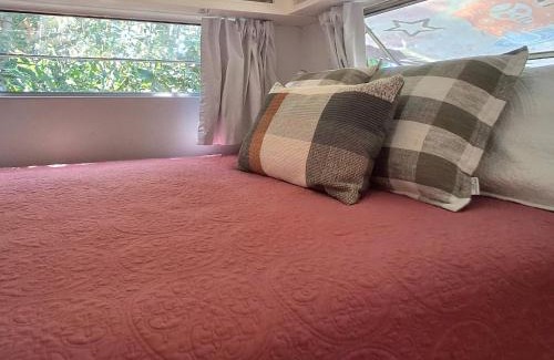 Nelly Bay House | Vintage Coral Green