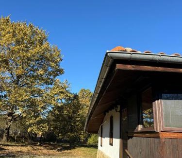 Elena House | Vintage House