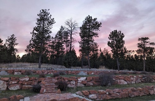 Hot Springs Cabin | Vintage Presidential Suite - Room 203