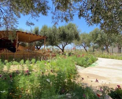 Qazim Pali Resort | Violet Village