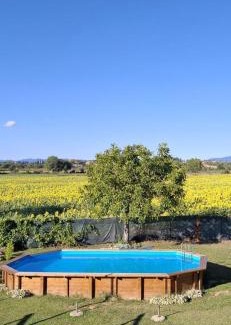 Santarello House | Violino