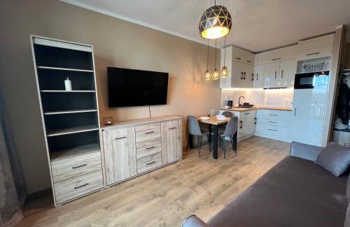 Wlochy Apartment | VipWarsawApartments pl Wiktoryn