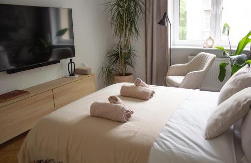 City Centre Apartment | Vistula Nest Two Bedroom Apartment Near Kazimierz