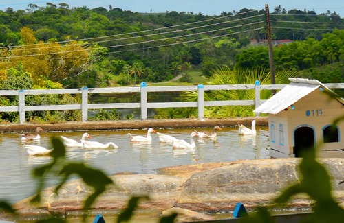 Moreno Hotel | Viver Hotel Fazenda Property