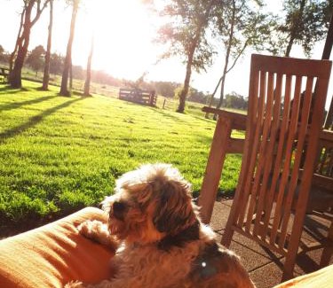 Eelde Bed & Breakfast | Voorhuis