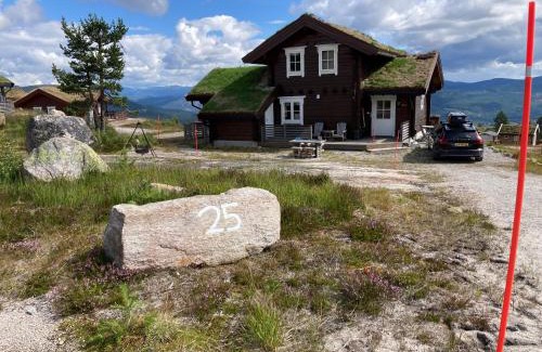 Kviteseid House | Vrådal Panorama