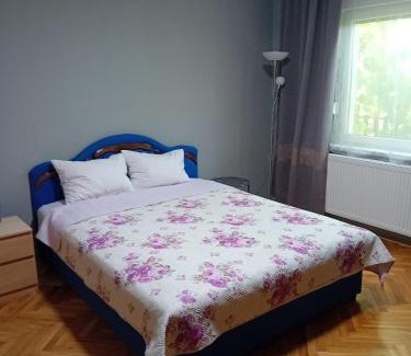Vrbas Apartment | Vrbas