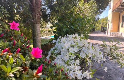 Lesa Apartment | VSC Apartment - Appartamento in villa storica vista lago e piscina