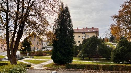 Jedlina-Zdroj Apartment | W centrum uzdrowiska