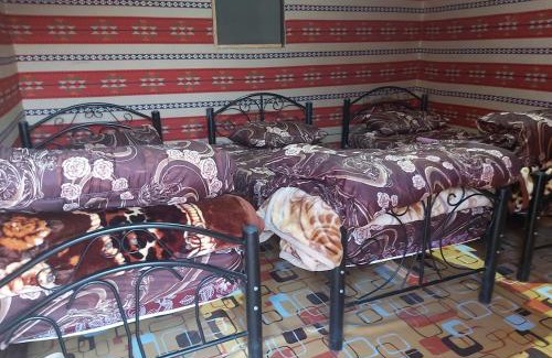 Wadi Rum Resort | Wadi Rum Desert Adventures
