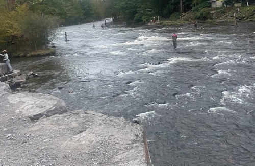 Pulaski Apartment | Walk to fish with views of The Salmon River!