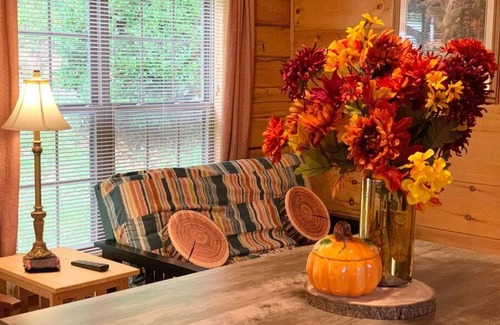 Lake Lure House | Walk to Lake Lure Chimney Rock from Autumn Splendor Cabin