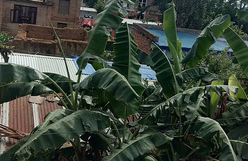 Thimi House | Warm hospitality, clean room