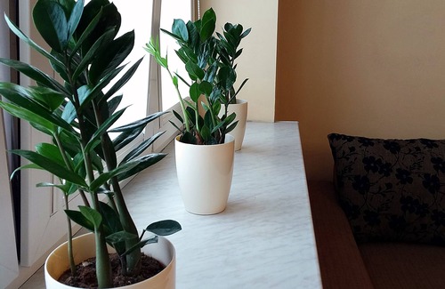 Nowy Dwor Mazowiecki Apartment | Warsaw Modlin Airport Apartment