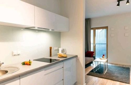 Mirow Apartment | Warsaw Night Apartments MennicaResidence