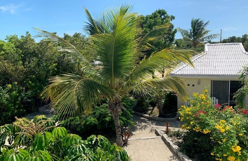 Discovery Bay Cottage | Waterfront Cottage Dockside Patio Jeep SUV Kayak SUP Bike Boat Beaches Jet Ski