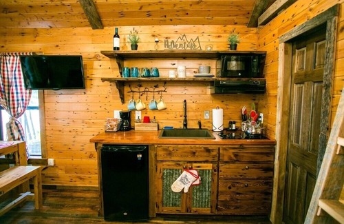 Steele Creek Cabin | Waterfront, 100 Year-Old wood Cabin - #16
