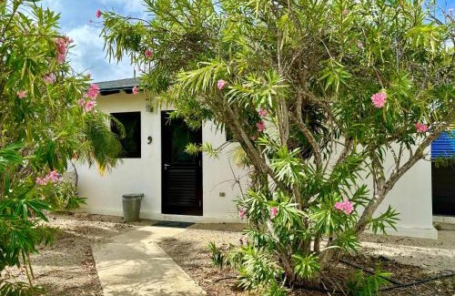 Waterlands Village House | Waterlands Village Bonaire - Oceanview Villa 9