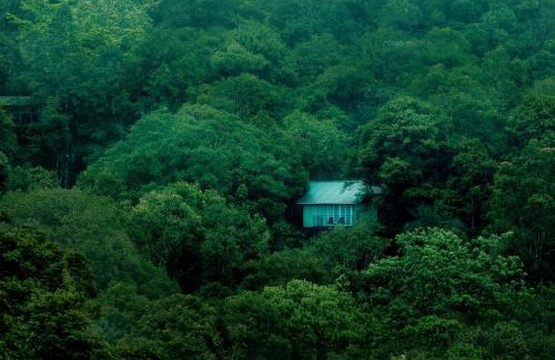 Lakkidi Resort | Wayanad Wild - A CGH Earth Experience