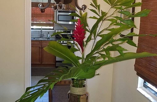 Delray Beach Condo | Weekly & Monthly- easy in/out: Large 1BR Villa w/Pool- Short Walk to Ave/Beaches