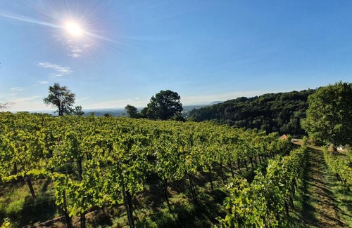 Lang Apartment | Weingut & Ferienwohnungen Lenhard