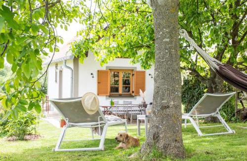 Deutsch Schuetzen-Eisenberg House | WEINLOFTS Weinloft I