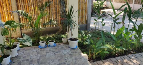 San Juan House | Wejman Residence