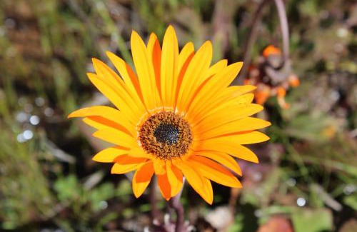 Tulbagh Cabin | Welbedacht Game & Nature Reserve