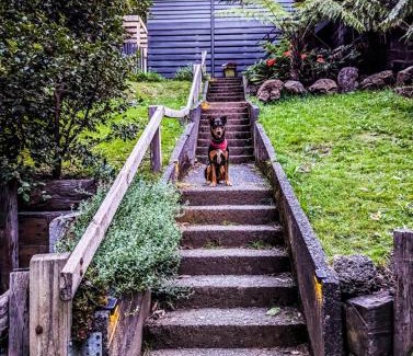 Warburton House | Welcome on Wellington