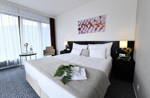 Dolni Morava Hotel | Wellness Hotel Vista
