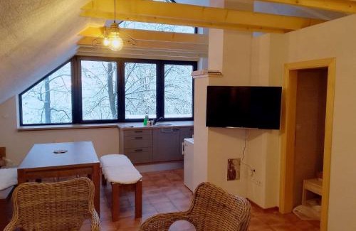 Liptovske Revuce Cabin | Wellness privát Štyri Lipy