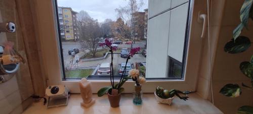 Wedding House | Weltoffenes privates Gästezimmer bei LGBTQ freundlichen Gastgeber leider City Tax extra