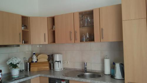 Meuselwitz Apartment | Wendler`s Haus