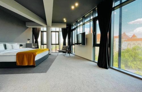 Hunedoara Hotel | WERK Hotel & SPA