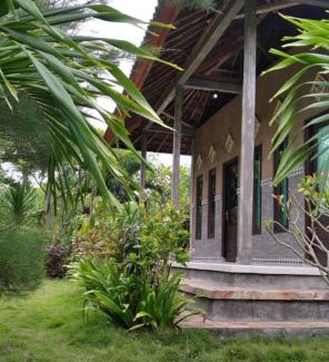 Pemuteran Boat Rental | West Bali Menjangan Tour