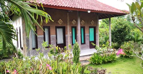Pemuteran Boat Rental | West Bali Menjangan Tour