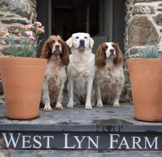 Barbrook Bed & Breakfast | West Lyn Farm Bed & Breakfast
