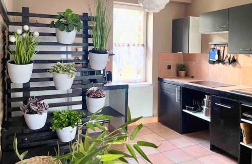 Brax Cottage | West of Toulouse : modern comfort meets relaxation under the shade of oaks