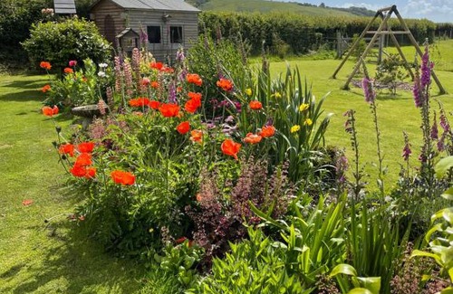 Buckfastleigh Bed & Breakfast | Westerley Country B & B with exclusive Guest lounge