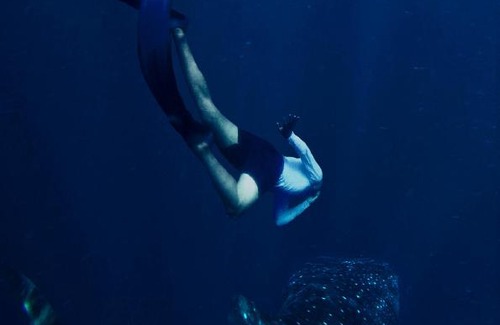 Kecamatan Woha Boat Rental | Whale sharks tour agency