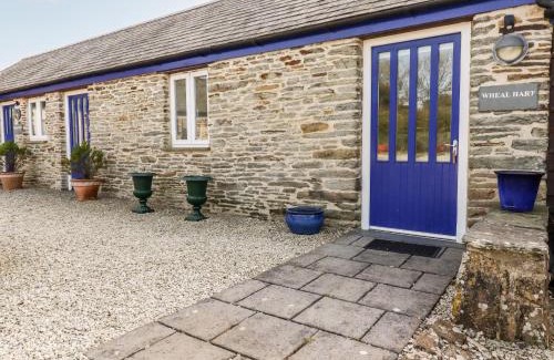 Newquay House | Wheal Hart
