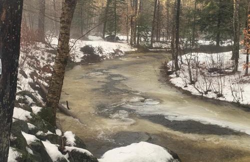 Grafton House | Whispering Woods Cabin - Creekside & Pet Friendly