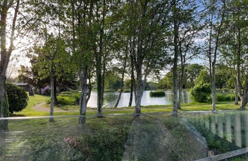 White Cross Resort | White Acre's Holiday Park, 602 Sycamore Forest