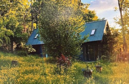Shoreham Apartment | White Hill Lodge - rustic cabin set in a stunning meadow