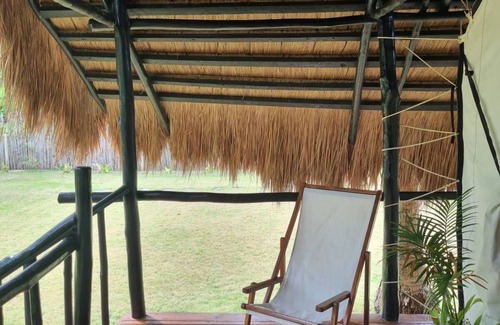 San Vicente Cabin | Whole Resort